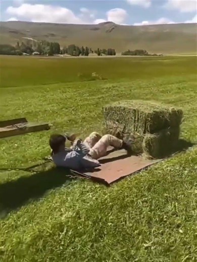 طريقة سهلة وسريعة لجمع التبن