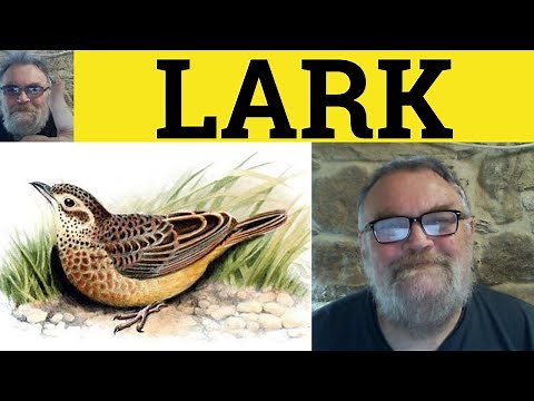 🔵 Lark Meaning - Lark About Examples - Up With the Lark Defined - C2 English
