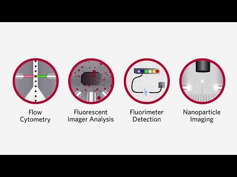 Luminex Detection Methods - Molecular Diagnostics & Life Sciences