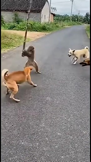 ##BalliBotMogis #TrendingReels #TrendingReels #Foryoupage ##FYP #FYP #ViralTikTok #MillionViews #TechMagic #SmartBot #AITrend #RobotVibes #Innovation