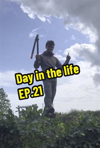 Day in the Life: Gardening Adventures with the Scruff Brothers