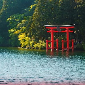 Settle into JAL’s spacious cabins, where every detail reflects Japan’s signature calm. | Japan Airlines