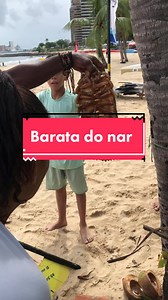 Barata do Mar: Aventura Inusitada com Insetos