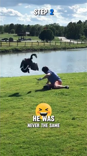 5 things Not To DO! If a goose comes at you🤣
