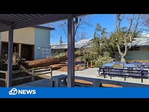 Student injured after strong winds topple redwood tree onto elementary school classroom