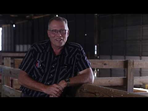 Sheep Care: Small Flock Facilities and Handling