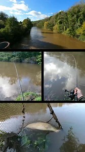 5.3K views · 168 reactions | Are you looking for a flood water line when barbel fishing? My number 1 choice is ESP Carpgear Syncro XT #barbel #barbelfishing #riverfishing #fishingtackle | Martin Bowler | Facebook