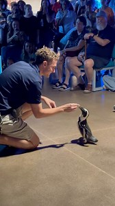 3.1K views · 39 reactions | Our Penguin Party! ends on Sunday, October 13th, so waddle on over to OdySea and join us for penguin appearances, penguin 101 sessions, kids waddle races, and rubber pengiun water races! ⭐️You can find the schedule for these events here ➡️ https://bit.ly/4f0y5tO | OdySea Aquarium | Facebook