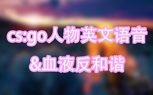 cs:go国服修改人物英文语音&&血液反和谐