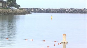 26K views · 224 reactions | A 900-gallon sewage spill Monday resulted...