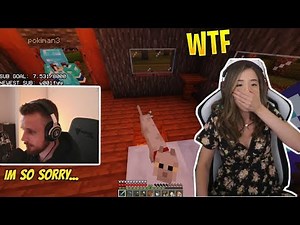 Fitz "kills" Pokimane's cat in Minecraft for 500$ donation (Poki gets mad)