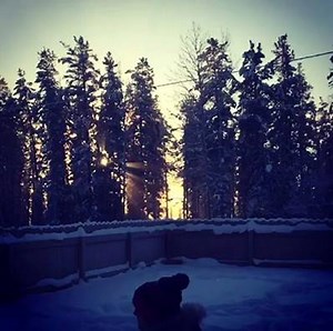 13K views · 268 reactions | How quickly does water freeze at -46? Charlotte Burdess shares this fun demonstration from Watson Lake this morning. | CBC Yukon | Facebook