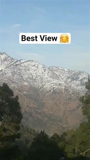 Unbelievable Drone Footage Captures Rare Wildlife Encounter in the Amazon!"