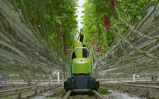 全自动番茄剪枝机器人Kompano｜2021【荷兰Priva】