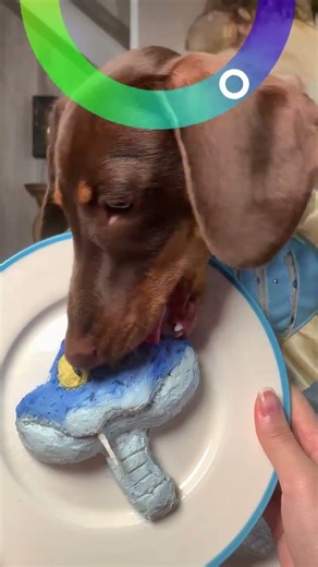 8 Exquisite Rice Colors: Unveil the Beauty in Every Grain