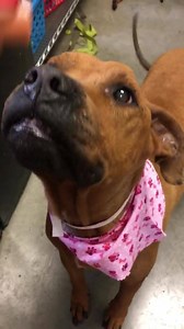 46 reactions · 33 shares | Elizabeth needs out ASAP!!!!! ❌❌❌❌ She is...