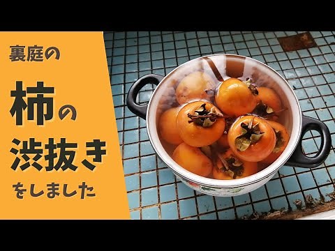 柿の渋抜きをしました【お湯編】