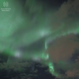 77K views · 1.8K reactions | The northern lights are dancing in the Northern Norwegian sky these nights. Video: Aurora Borealis Observatory - Visit Senja. | Visit Norway | Facebook