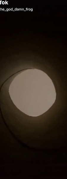 You know exactly who to send this too...#kermit #frog #puppet #bitch #comedy #foryoupage