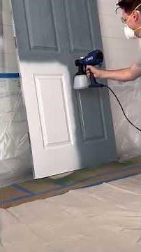 Graco EVO HVLP Sprayer