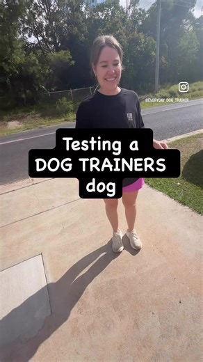 Why Dogs Jump: Understanding Canine Behavior