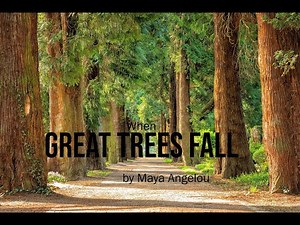 When Great Trees Fall by Maya Angelou line by line explanation. Everything you need to know.