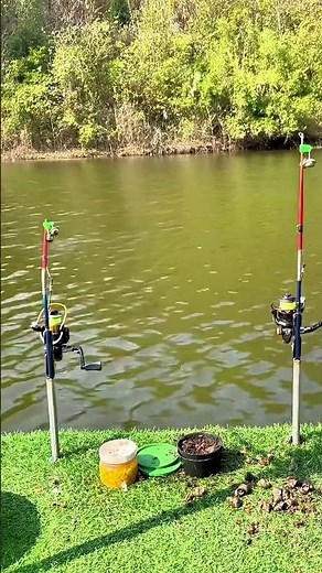 High Sensitivity Automatic Fishing Rod and Reel Combo Set Sea River Telescopic Pole Spinning Ring.