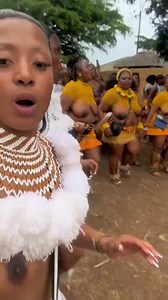 Rate this Zulu culture from South Africa 🇿🇦 out of /10