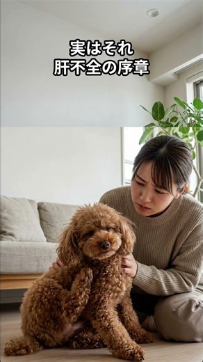 愛犬壊すその柔軟剤、犬には「化学拷問」です。【獣医警告】犬のかゆみ・肝不全の原因