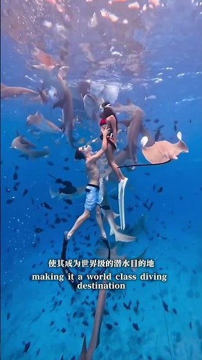 馬爾地夫，馬爾地夫是鄰近印度與斯裡蘭卡的印度洋群島國家，擁有水晶般清澈的海水、白沙礁和豐富海洋生物，是世界頂級潛水勝地。其標誌性的水上別墅和「一島一酒店」模式，使其成為奢華度假天堂。#馬爾地夫 #旅