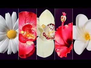 5 Sugar Flowers with DIY Cutters - Overview