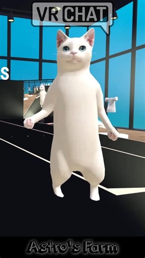 A cat doing the catwalk in VRChat Virtual Reality game on Quest3 #astrosfarm