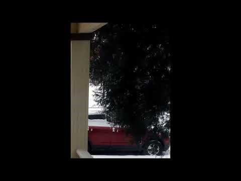 California Dreamin - The Mamas & The Papas -*- ft: STD