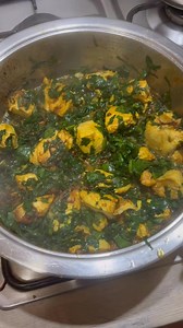 18K views · 193 reactions | Salwaa’s Spinach & Chicken Curry. Recipe in comments… Enjoy | Salwaa's Cape Malay Cooking | Facebook