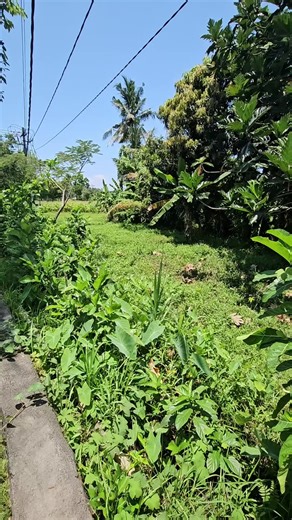 Investasi Lahan Emas di Karangasem, Bali