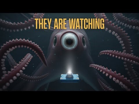 Why Colossal Squid Footage Makes the Deep Sea More Terrifying