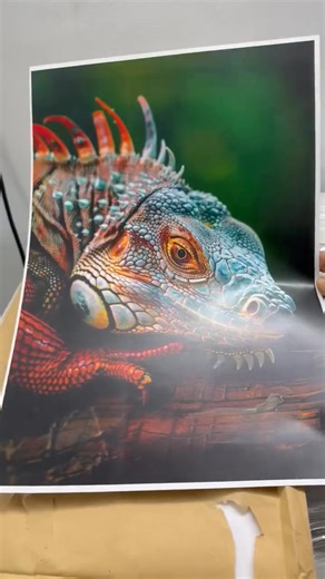 C70 xerox | Nikita Randeep Kour