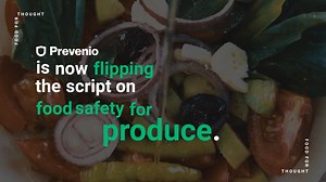 Typographic Animation - WCMS