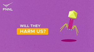 Did you know that a teaspoon of soil contains fungi, bacteria, and viruses? This #NationalDNADay, learn about why PNNL researchers are digging deep into the genetics of soil viruses. https://bit.ly/3sJTxN2 | Pacific Northwest National Laboratory | Facebook