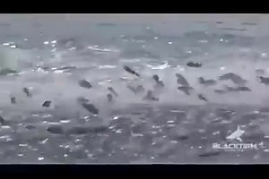 12K views · 186 reactions | Angling Direct Hull on Reels | Facebook