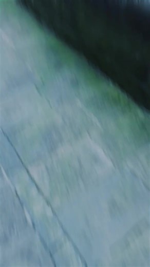 Evolution of siren head #evolution #viral