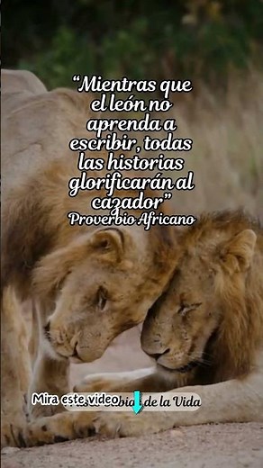 Sabios proverbios y refranes africanos