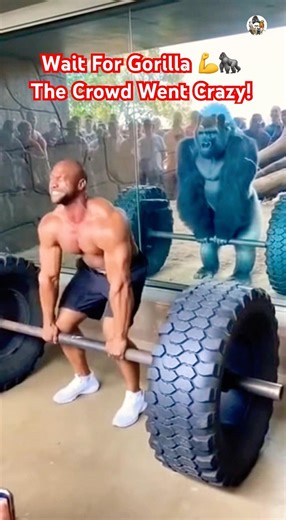 Watch What Happens When Gorilla Tries the Same Hummer Axle #subscribe #shorts