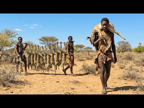 Incredible survival skills in African wilderness – Hadzabe tribe hunting and hearty meals
