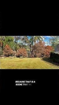 March full food forest tour #andrethefarmer #gardentour #foodforest #floridagardening #frostdamage