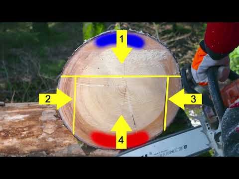 Trennschnitte (Part 5/9) – Der Kreisschnitt