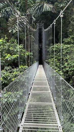 Hanging bridge hike to see Volcano Arenal 🌋 #costarica #nature