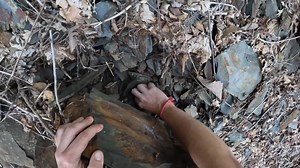 NKFherping on TikTok