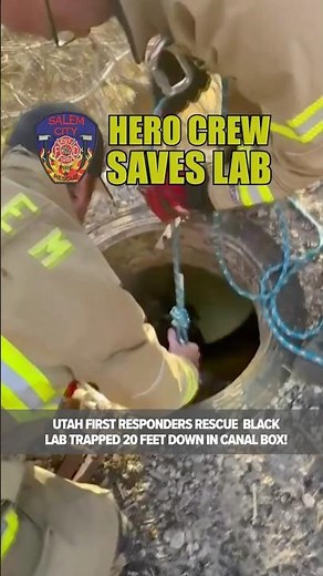 FIRST RESPONDERS SAVE TRAPPED BLACK LAB