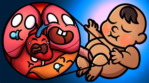 I discovered what happens to your organs at birth! 🎉